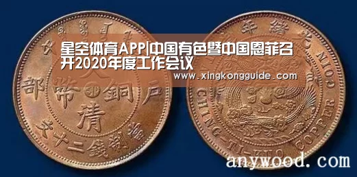 星空体育APP|中国有色暨中国恩菲召开2020年度工作会议(图2) 星空体育APP
