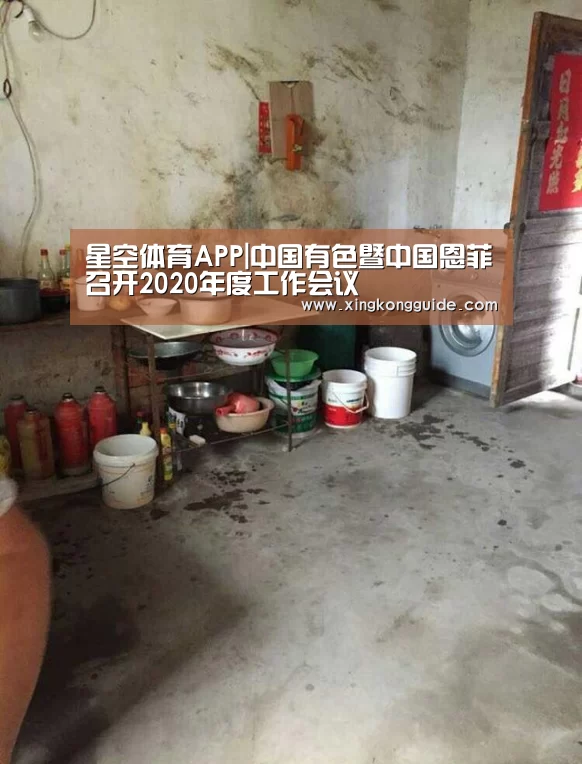 星空体育APP|中国有色暨中国恩菲召开2020年度工作会议(图4) 星空娱乐APP