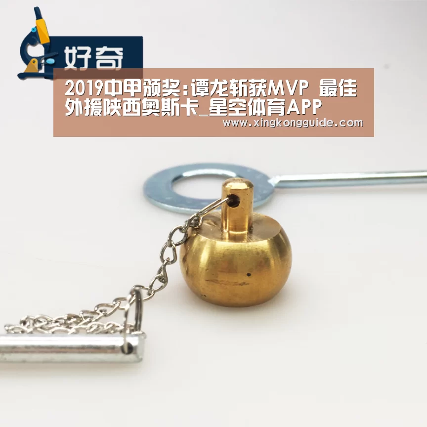 2019中甲颁奖:谭龙斩获MVP 最佳外援陕西奥斯卡_星空体育APP(图4) 星空娱乐APP